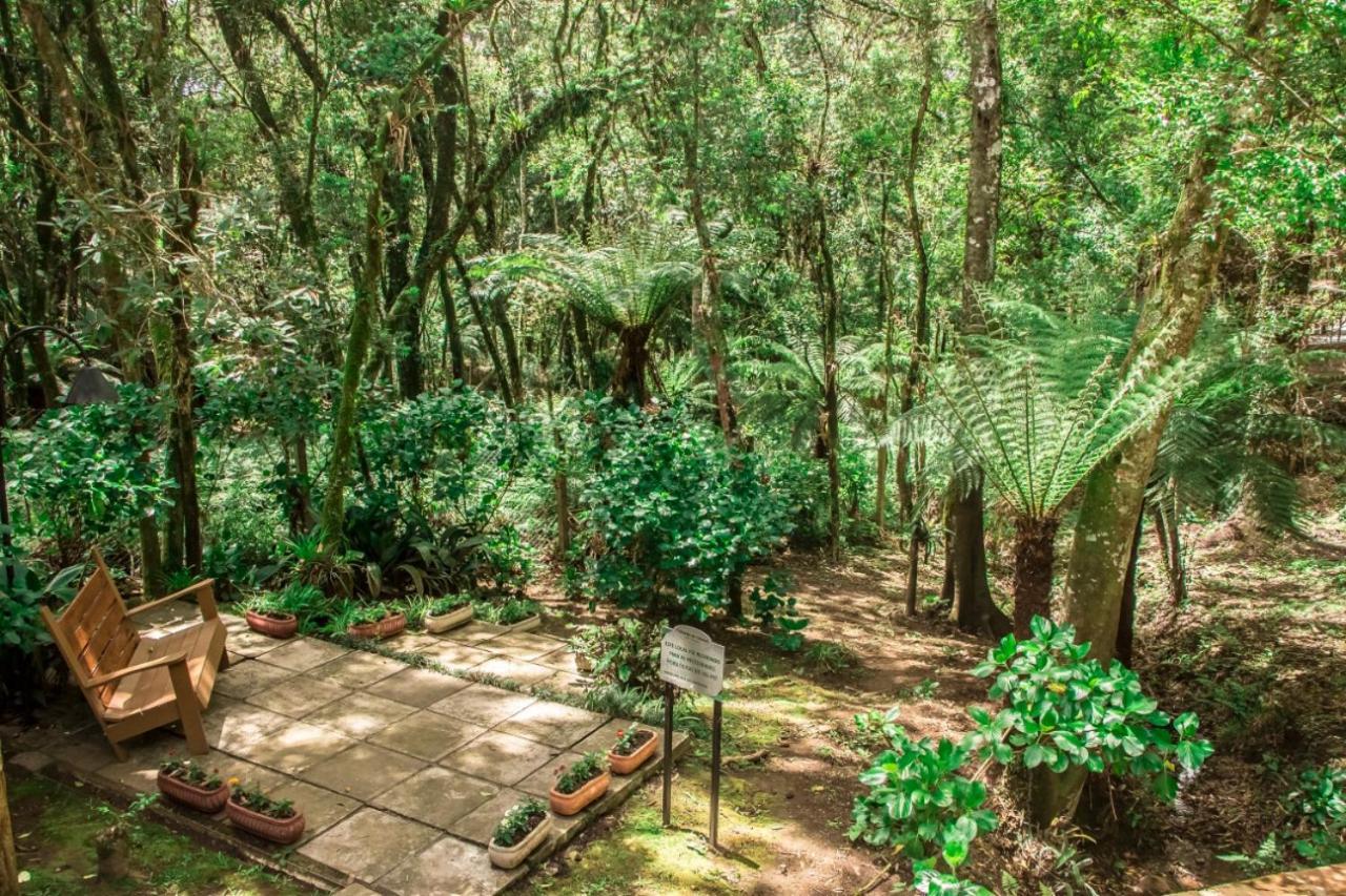 קנלה Hotel Pousada Cozumel Sierra מראה חיצוני תמונה